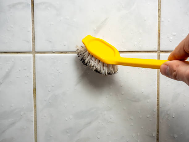 Best Localized Mold Remediation (e.g., coastal areas, humid climates) in Three Way, TN