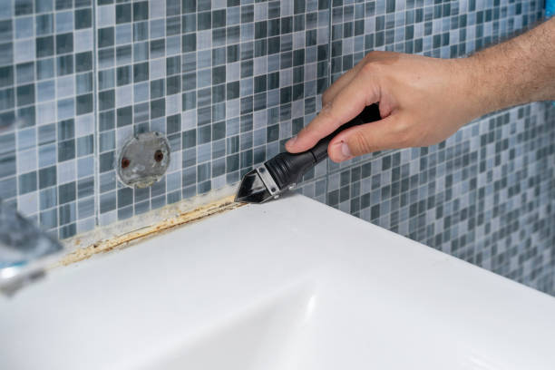 Best Preventive Mold Services in Three Way, TN