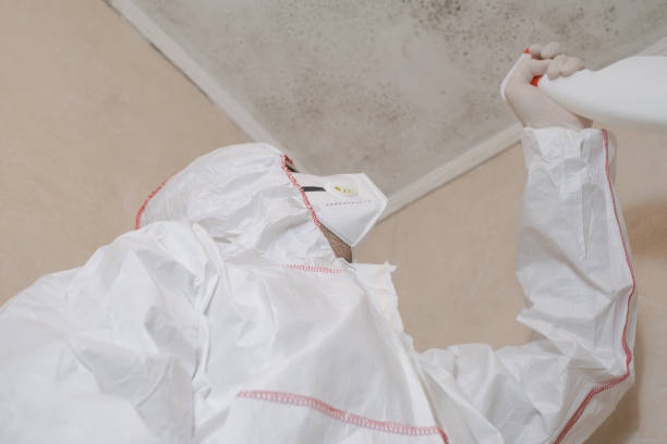 Best Crawl Space Mold Remediation in Three Way, TN